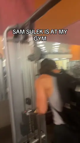 SAM SULEK I LOVE YOU #gym #fyp #samsulek #workout #Fitness 