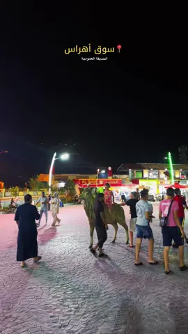 🐅🎢 #fyp #dz #soukahras #pov 