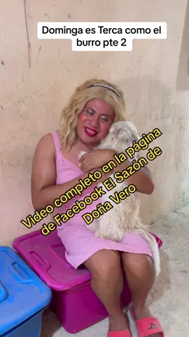 Dominga es mas terca que un burro 