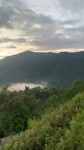 Gunung gandang dewata#semuaorang #gununggandangdewata#gunung #yfp #viral 
