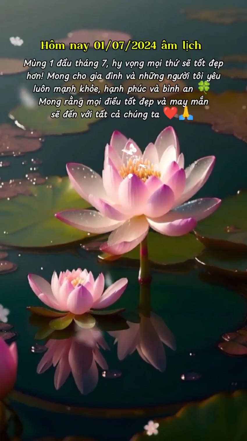 Mùng 1 Đầu Tháng #CapCut Xin chào tháng 7 âm lịch 2024🌺🍀#2024 #thangmoimayman☘️ #chaothangmoi #mung1mayman #mung1 #xinchaothang7 #chaothang7 #xuhuongtiktok #thangcohon #maupro #viral #fyb #cuocsong #caption #thietnhuy 