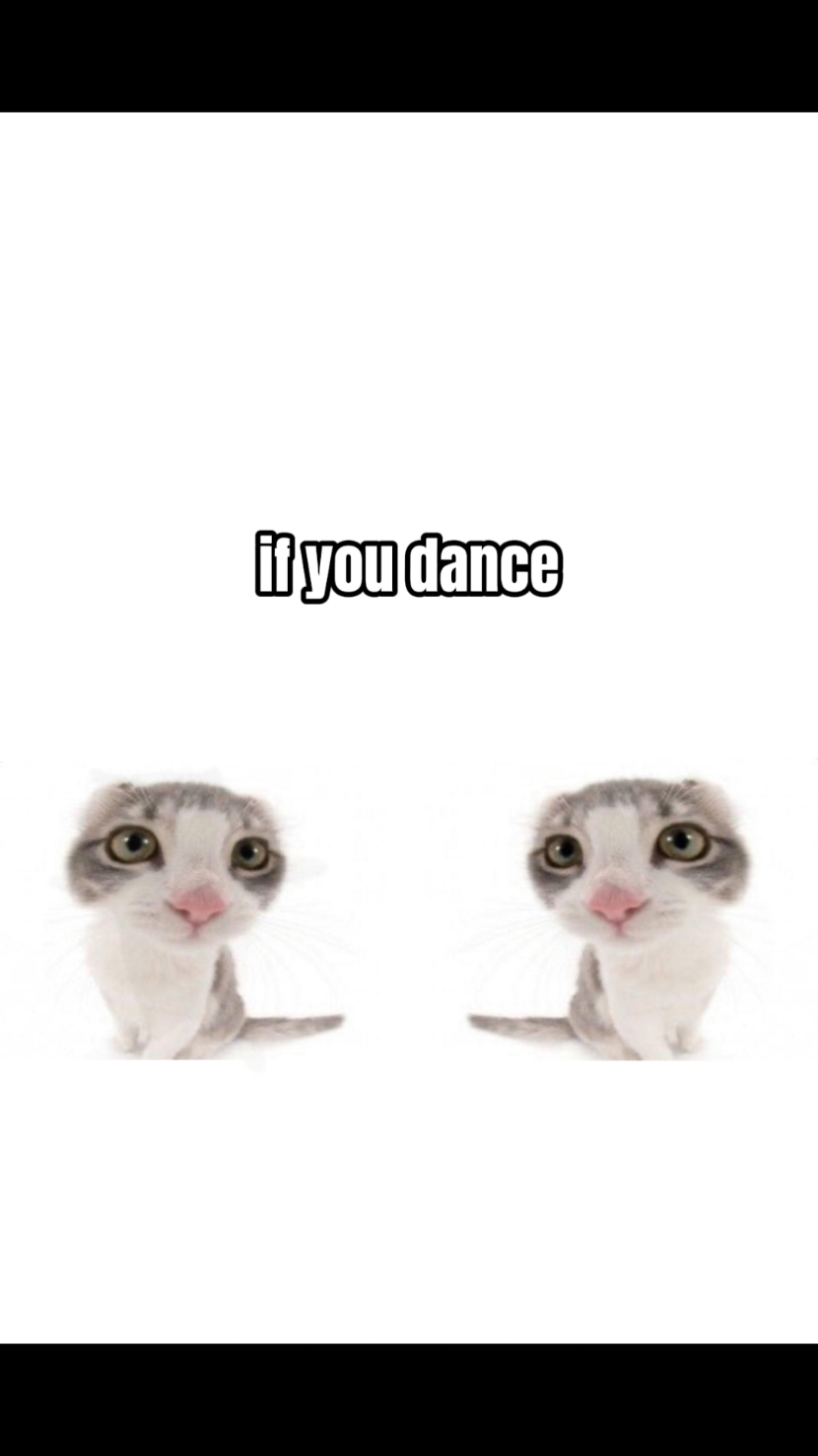 if you dance, I'll dance . . . #silly #cat #cars #fyp 