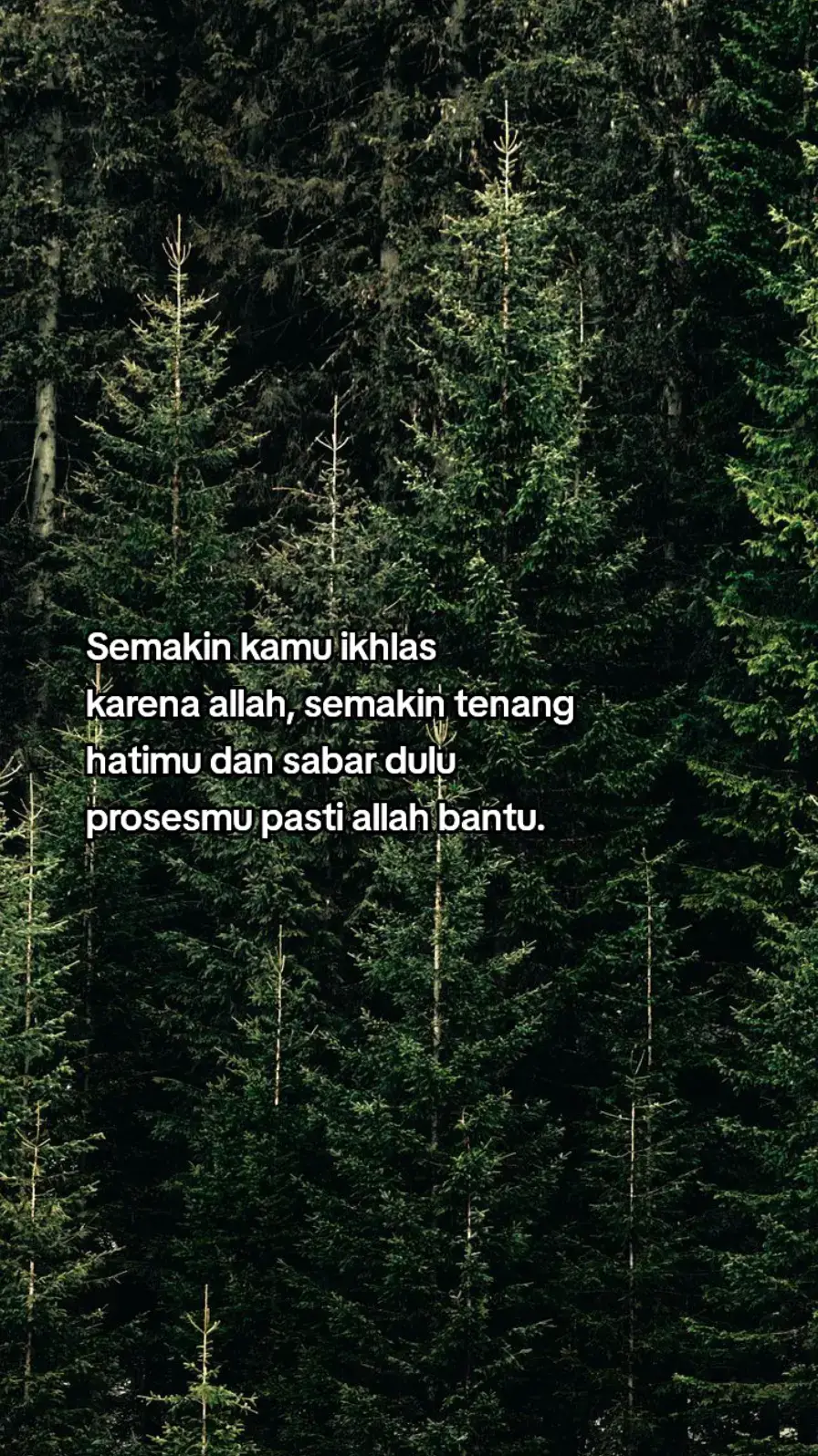 #fyp #fypシ゚ 