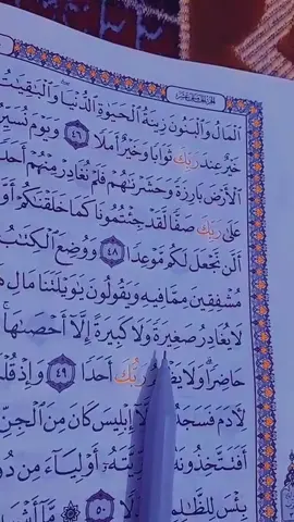 المال والبنون زينة الحياة الدنيا والباقيات الصا لحات خير عند ربك ثوابا وخيرا أملا #القارئ_عامر_الكاظمي #تلاوة_القرآن_بصوت_رائع_جدا
