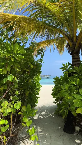 One of the unusual yet very pleasant activities in the Maldives is drinking coffee right on the beach. Imagine sitting under a coconut palm, surrounded by fine sand, holding a cup of delicious coffee in your hand. This experience is further intensified by the sounds of the ocean, a gentle breeze, and a stunning view of the endless blue horizon. #maldives #maldivesislands #indianocean