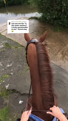 Replying to @Emmy 🌞 this was so much fun to make 🤣 #horse #horseriding #nervous #fyp #hacking #hydrotherapy #horsesoftiktok #horses #funny 