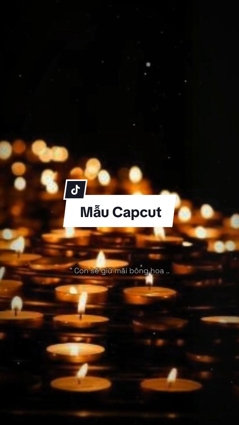 Ngày vu lan mẹ cài lên canh hoa hồng này cho con ...#maucapcut #lyrics #tamtrang #vulan #vulanbaohieu #xuhuong 