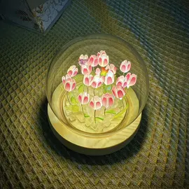 Mê từ hoa đến đèn hoa Tulip 🌷🥹#tulip 