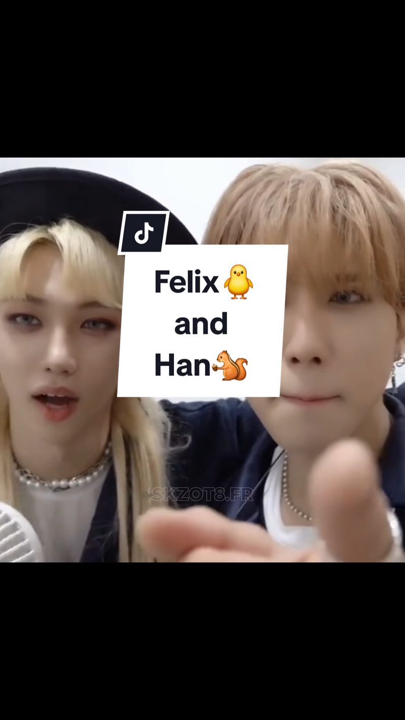 Twins🐿🐥🫶 #hanjisung #felix #twins #friendship #brothers #straykids #skz #skzedit #skzot8fr #stay 