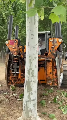 Tree moving machine