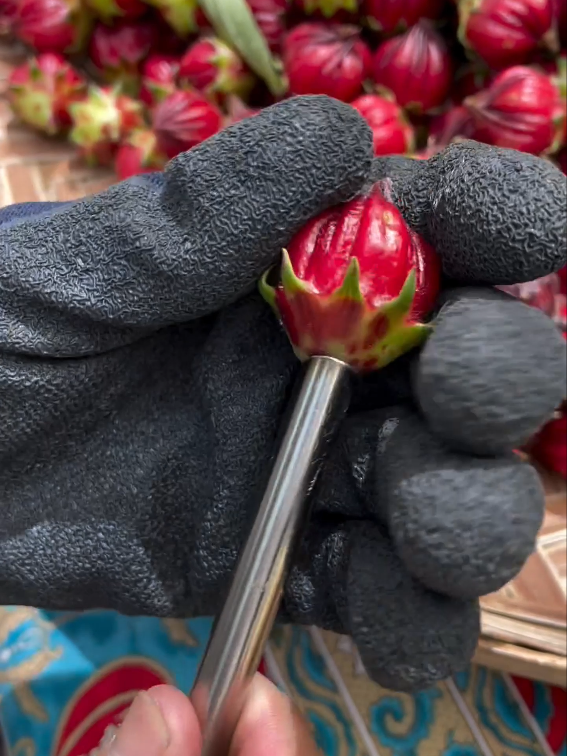 #asmr #fruit #fruits