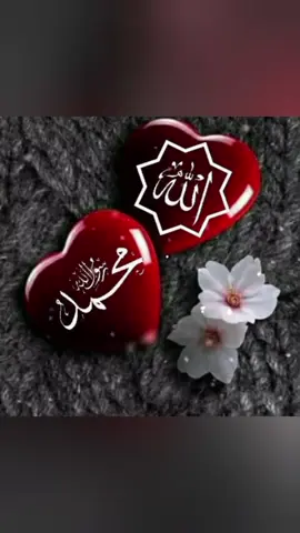 Allah|Muhammad S.A.W beautiful status |Gifs |islamic dpz |islamic shorts |subscribe to my youtube channel link in bio #foryou #islamic 
