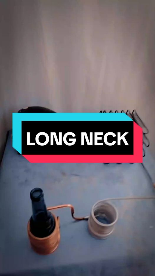 PROJETO LONG NECK