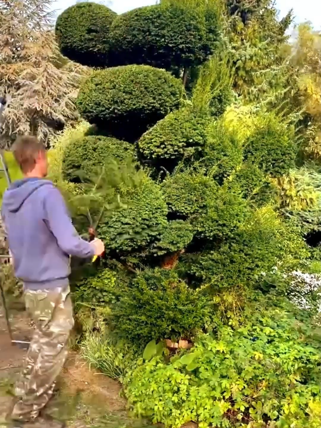 Relax and Enjoy 🍀 #viral #garden #satisfying #cleaning