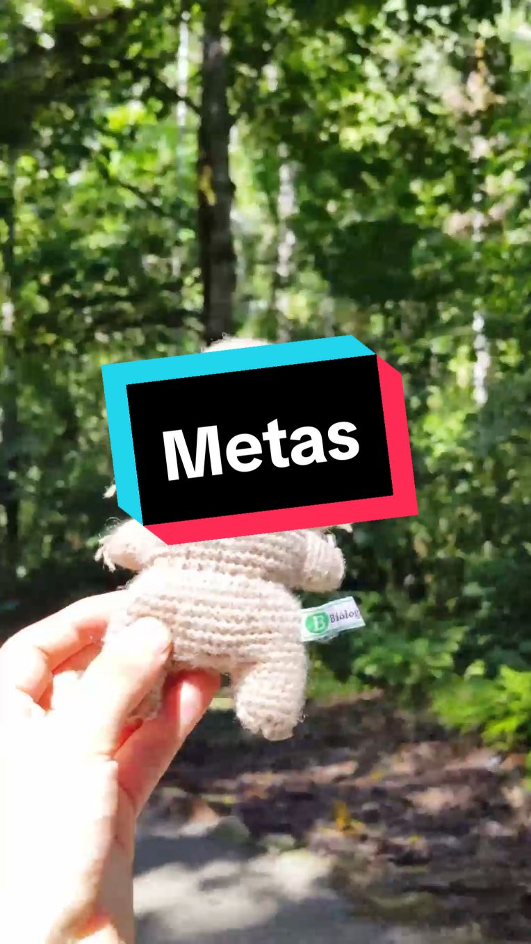 💪 Nuestra siguiente Meta  #microscopio #biologiadesdecero #meta #metas 