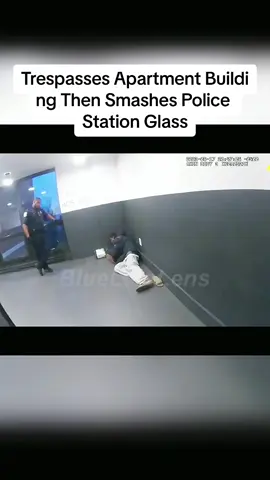 #fyp #bodycam #policeofficer 