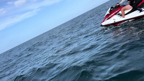 More dolphin encounters at Jet Set Go! Coastal Adventures Devon England. 