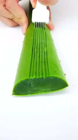Satisfying ASMR Cutting Aloe Vera☺️ #aloe #aloevera #satisfying #oddlysatisfying #asmr #fyp 