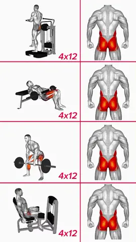 Gym Glutes Workout For Beginners 😮💪🏼💯 (please subscribe my YouTube channel link in profile 🙏🏼❤️)#fitnessmotivation #viralvideo #workout #foryoupage #fypシ゚viral #fyp #pk #trainwithzanin