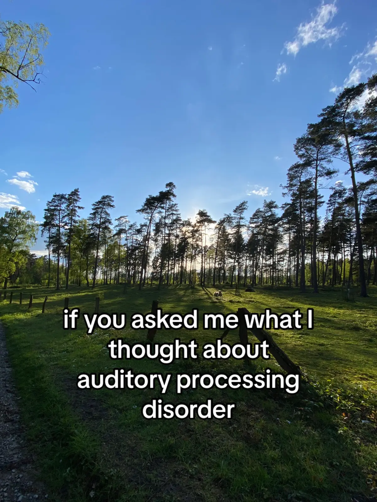 don’t say nevermind 😫 just one more time please #auditoryprocessingdisorder #neurodivergent #adhd #relatable #foryou 