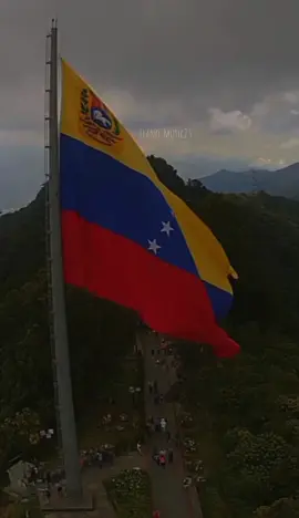 🇻🇪 @Luis Silva Cantante  #luissilva #diadelabandera   #Llano #llanero #musicallanera #folklore #venezuela #arpa #llanura #joropo #llano #llanovenezolano #🇻🇪 