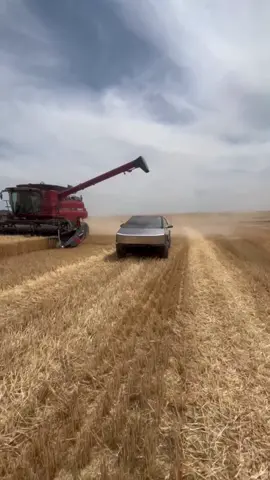 Ever wondered how much grain a cybertruck can hold?  Me neither, but here you go. #farming #tesla #trucks #caseih #combine #harvest #wheat #agriculture 