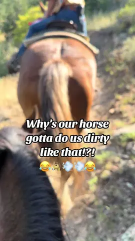 When you’re just trying to romanticize your life in Colorado😂🐴💨 #horses #fart #farting #funny #colorado #horsebackriding 