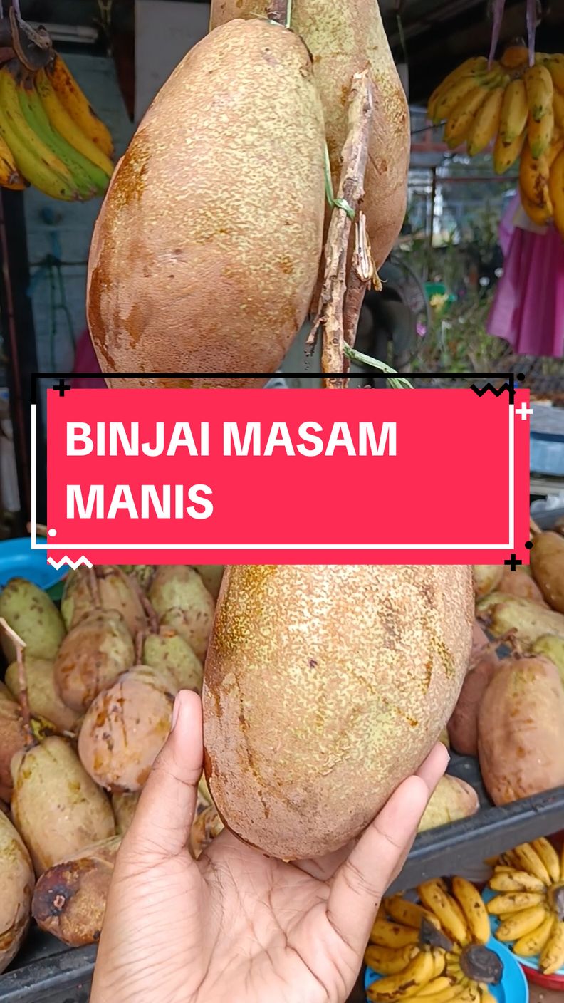 BINJAI MASAM MANIS #binjai 