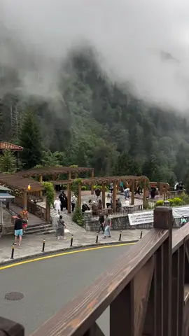 AYDERE NERDEN GELDİNİZ HERKES PLAKA YAZSIN ☁️ #rize #trabzon #samsun #giresun #ordu  #huseryaylası #gitoyaylası #pokutyaylası #istanbul #ankara #izmir #çayeli #hopa #uzungöl #karagöl #artvin #antalya #zonguldak #karabük #gümüşhane #erzurum #erzincan #ardesen #fındıklı #arhavi #trabzonof #keşfet #keşfetteyizzz #keşfetbeniöneçıkar #keşfett 