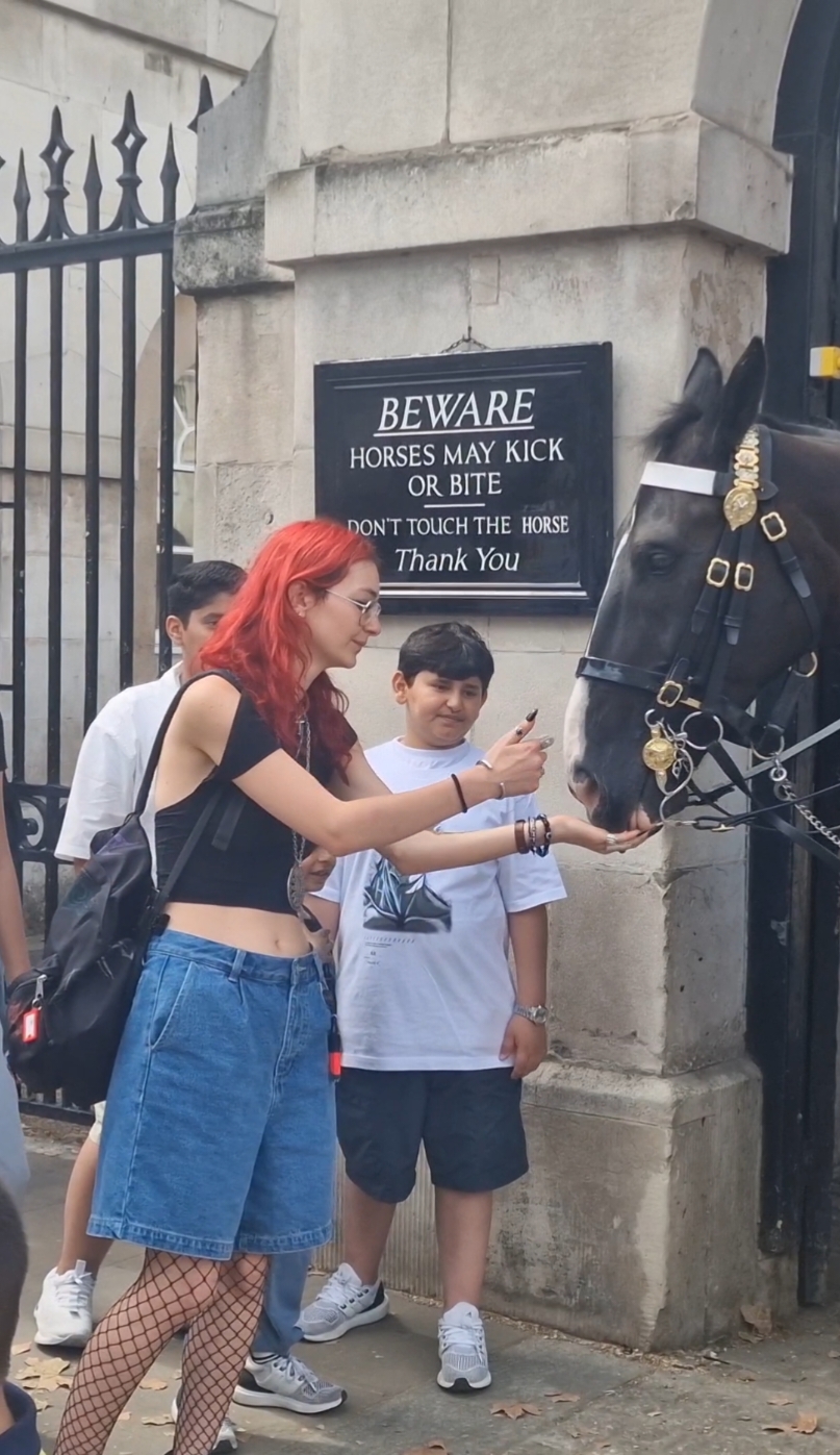 #householdcavalry #tourist #kingsguard #history #horse #fyp #horse #london 