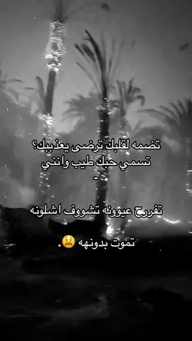 #النقبي #ياولفي #حريق #اكسبلور #🔥 #explore #انتشار_واسع #سنابي_بالبايو🤍 #foryou #الشعب_الصيني_ماله_حل😂😂 #المملكه_العربيه_السعوديه #fypシ #fyp #كثرو_الحرامية #العراق #مشاهدا 