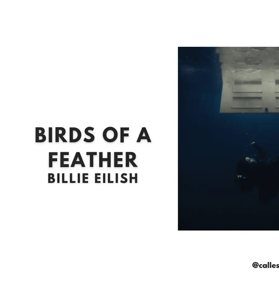 BIRDS OF A FEATHER - BILLIE EILISH #birdsoffeather #billieeilish #lyrics #music #fyp #fypシ 