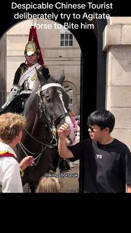 Despicable Chinese Tourist deliberately try to Agitate Horse to Bite him #fyp #foryou #viral #foryoupage #kingsguard #london #tourist 