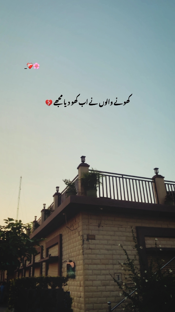 کھونے والوں نے اب کھو دیا مجھے 💔#status #viralvideo #fypシ゚ #unfrezzmyaccount #foryou #1millionaudition #foryoupage #poetry #aesthetic #fyyyyyyyypppppppppppp #growmyaccount 