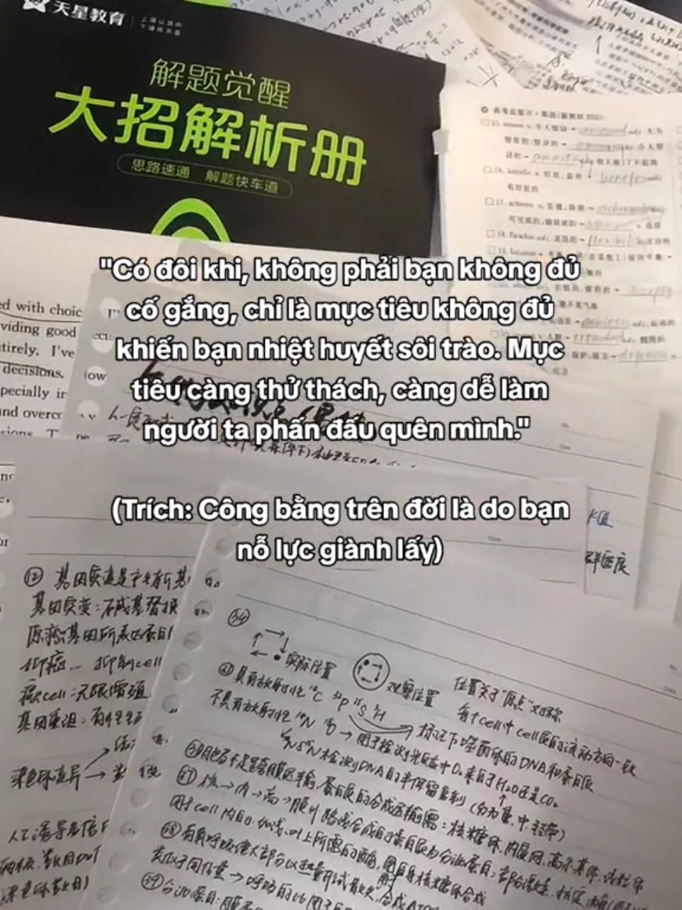 Tiktok dạo này duyệt lâu😭 #studymotivation #motivation #dongluc #phattrienbanthan #study #studytok #BookTok #vrstudio #xuhuong 