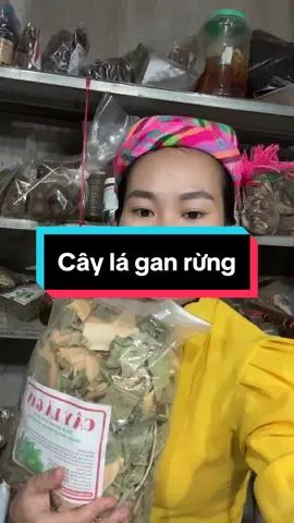 Cây lá gan rừng