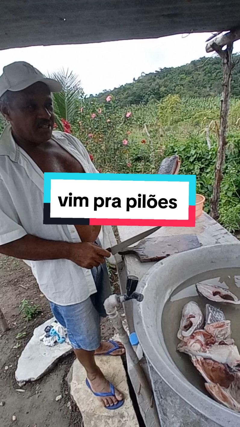 vim pra pilões #viraliza 