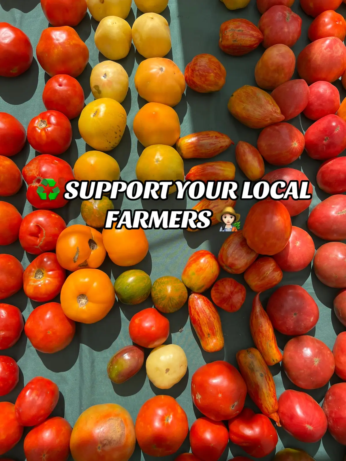 Supporting local farmers and eating seasonal produce reduces the carbon footprint associated with transporting food over long distances aka making it a more sustainable option. It also promotes biodiversity and helps maintain the local ecosystem, as seasonal crops are often better adapted to the local climate and soil conditions. Additionally, buying from local farmers fosters community relationships and supports the local economy, ensuring that resources are utilized responsibly and efficiently. Do you shop at your local farmer’s market? #supportlocalfarmers #eatseasonally #eatseasonal #Sustainability #farmersmarket 