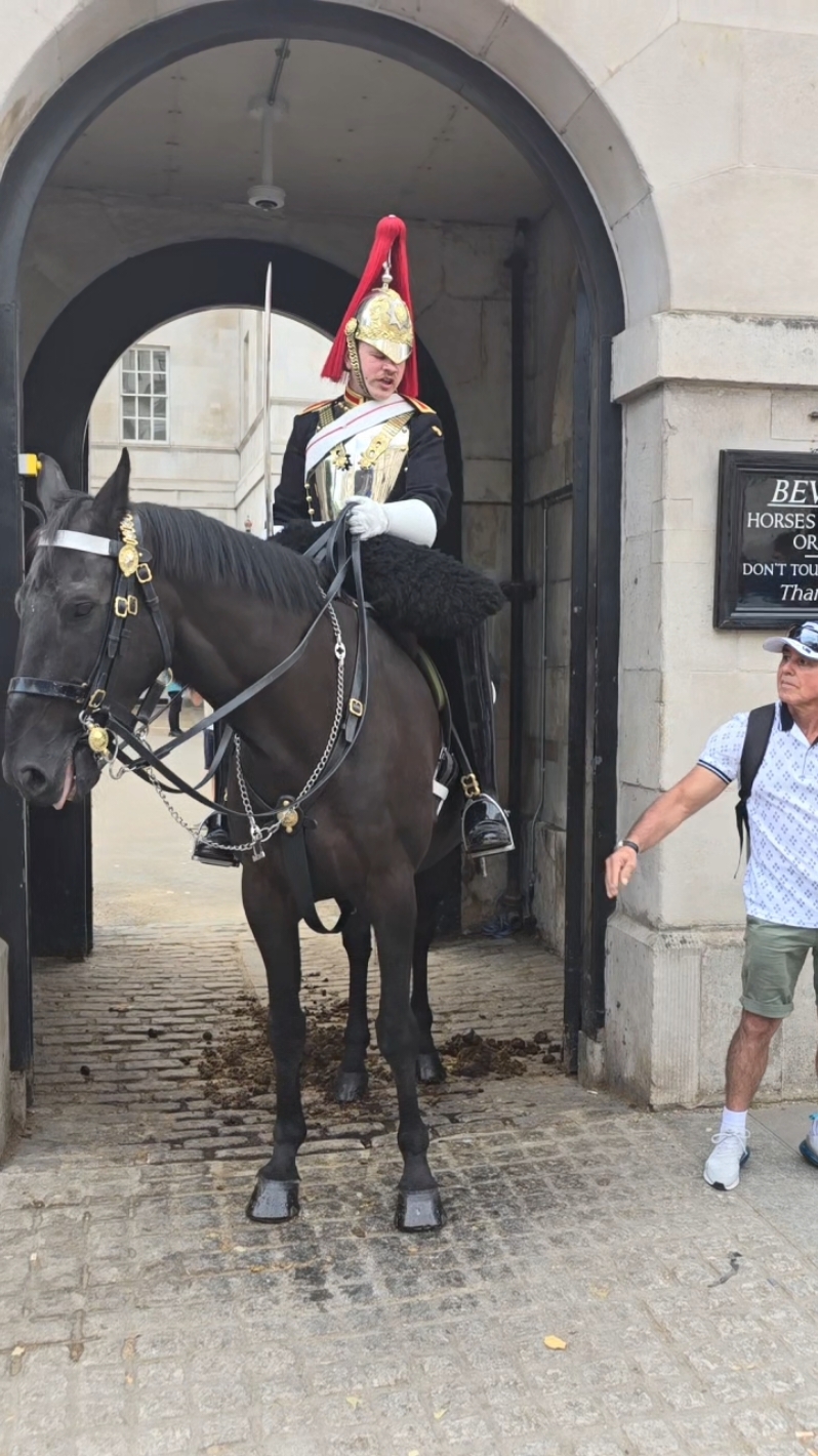 #kingsguard #horsesoftiktok #householdcavalry #fyp #tourist #london #horse 