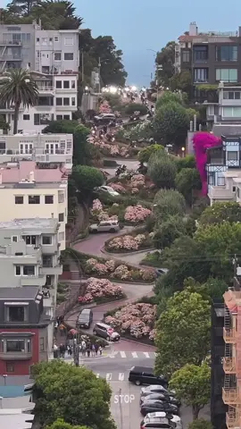 San Francisco 🇺🇲  Letting the good times roll on Lombard Street. 🏍️💨 . Zigging and zagging down the one of the most crooked streets in San Francisco 🤟🏽 ➢ Credit 👉🏆🎥 @jmisterjayphotography  . . ➢ Alliance @america_states @guimellousa . . #conexaoamerica #greencard #lombardstreet #sanfrancisco #sanfranciscoworld #onlyinsf #sfgate #streetsofsf #sfbayarea #sfbay #sfcity  📌DM for credit request or removal 🎥 📷 (no copyright interference) 🔗All rights and credits reserved to respective owner(s) 