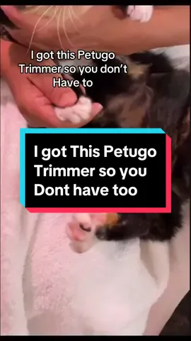 #petygo#petygotrimmer#petygogrooming #petgrooming 