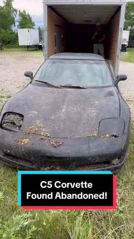 C5 Corvette found ABANDONED for 12 Years! Why would someone do this?! #wddetailing #detailing #satisfying #trending #carcleaning #barnfind #fyp #carwash #trend #asmr #pressurewashing 