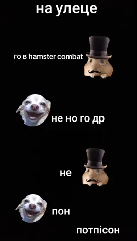 #hamstercombat #рек #хайп #рофл #sk8 #нефор 