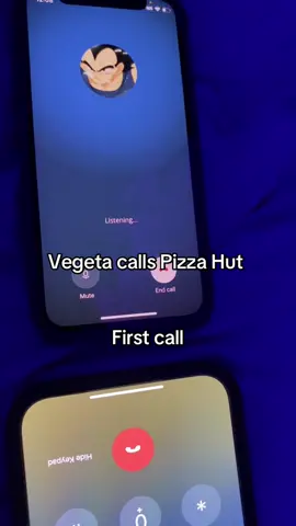Vegeta could not order the pizzas 
