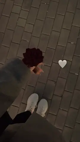 حدا يطالع الاغنية من راسي 🥲#ادمان #محضورة🍓🦋 #ياما_ليالي_ياما_وانت_مش_معايا♥️🥺 #CapCut #شاشة_سوداء #قالب_كاب_كات #تركيا🇹🇷اسطنبول #غرور_وكبرياء_انثى🖇🌸🔥💯👑 #محضورة_مشاهدة🥀😔 #ستوريات_انستا #ياما_ليالي #وانت_مش_معايا #الشعب_الصيني_ماله_حل😂😂 #تصميم_فيديوهات🎶🎤🎬 #مجرد________ذووووووق🎶🎵💞 @Hanin Nona👑 