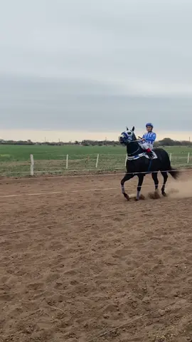 PESCADOR ⚜️💙 perteneciente al STUD LA LOLA de Santa Ana, Corrientes. Se quedó con el GRAN CLÁSICO de ésta tarde! #studlalola #caballos #caballosdecarreras #carrerasdecaballos #hipica #cuadreras #chaco #corrientes #pasionburrera😍🐎🏁 #brasileirão #arg #🇦🇷 #🇧🇷 