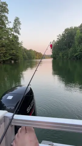 #countrylife