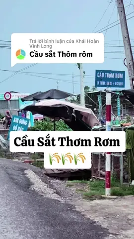 Trả lời @Khải Hoàn Vĩnh Long Cầu Sắt Thơm Rơm của em đây 🤗🤗🤗🌾🌾🌾🌾🌾 #65cantho #cautucantho #xuhuong2024 #mientay #trendingvideo #xuhuongtiktok #trending #thotnot 