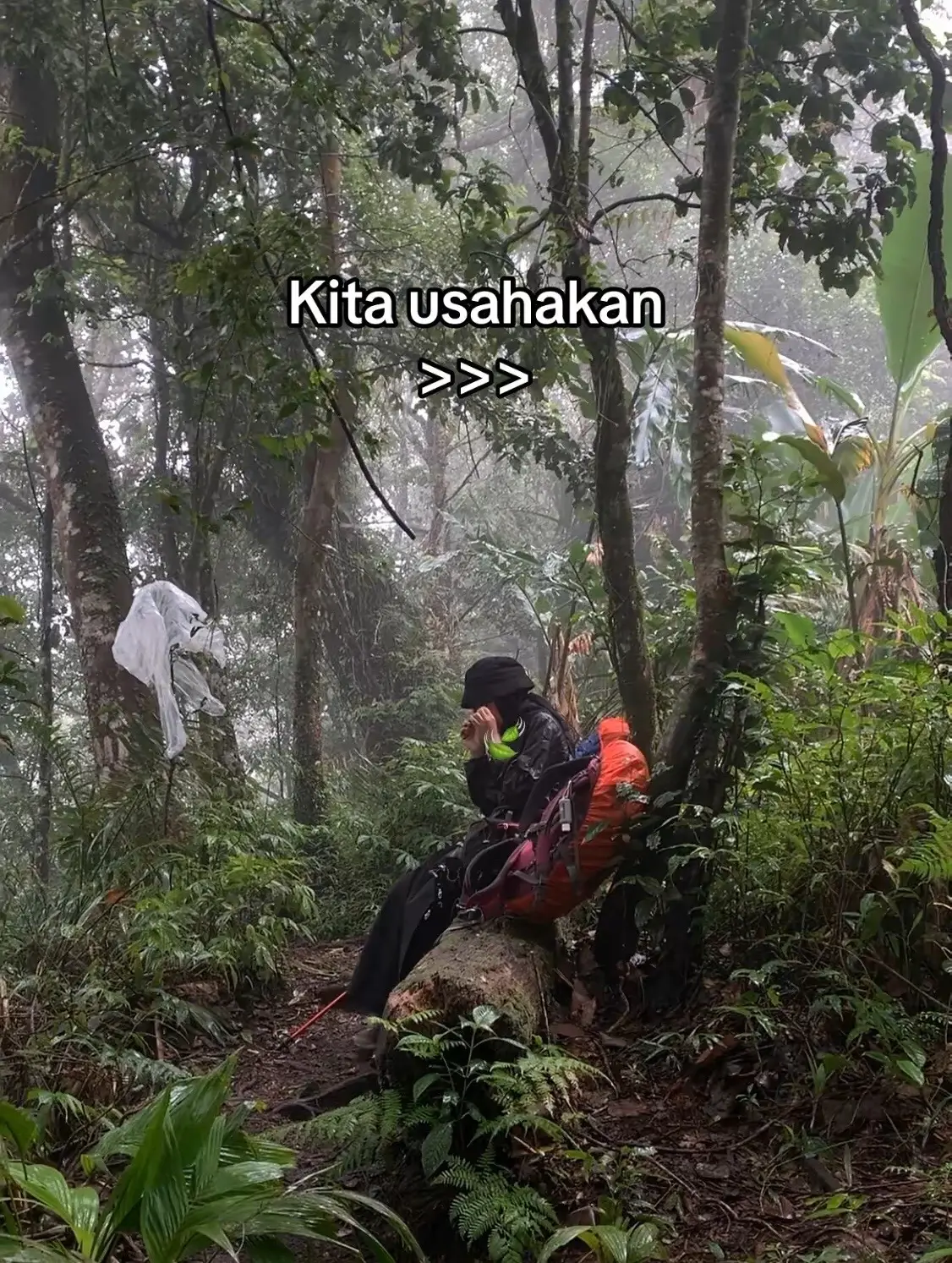 Nanti kita rayakan setiap momen penting itu di puncak gunung impian #pendaki #pendakigunung 