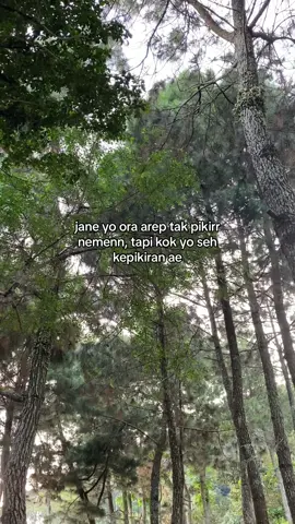 #fyp #xyzbca #foryou 